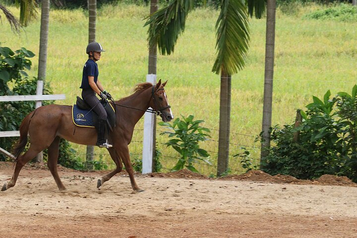 4-Hour Horse Riding in Nuwara Eliya - Photo 1 of 5